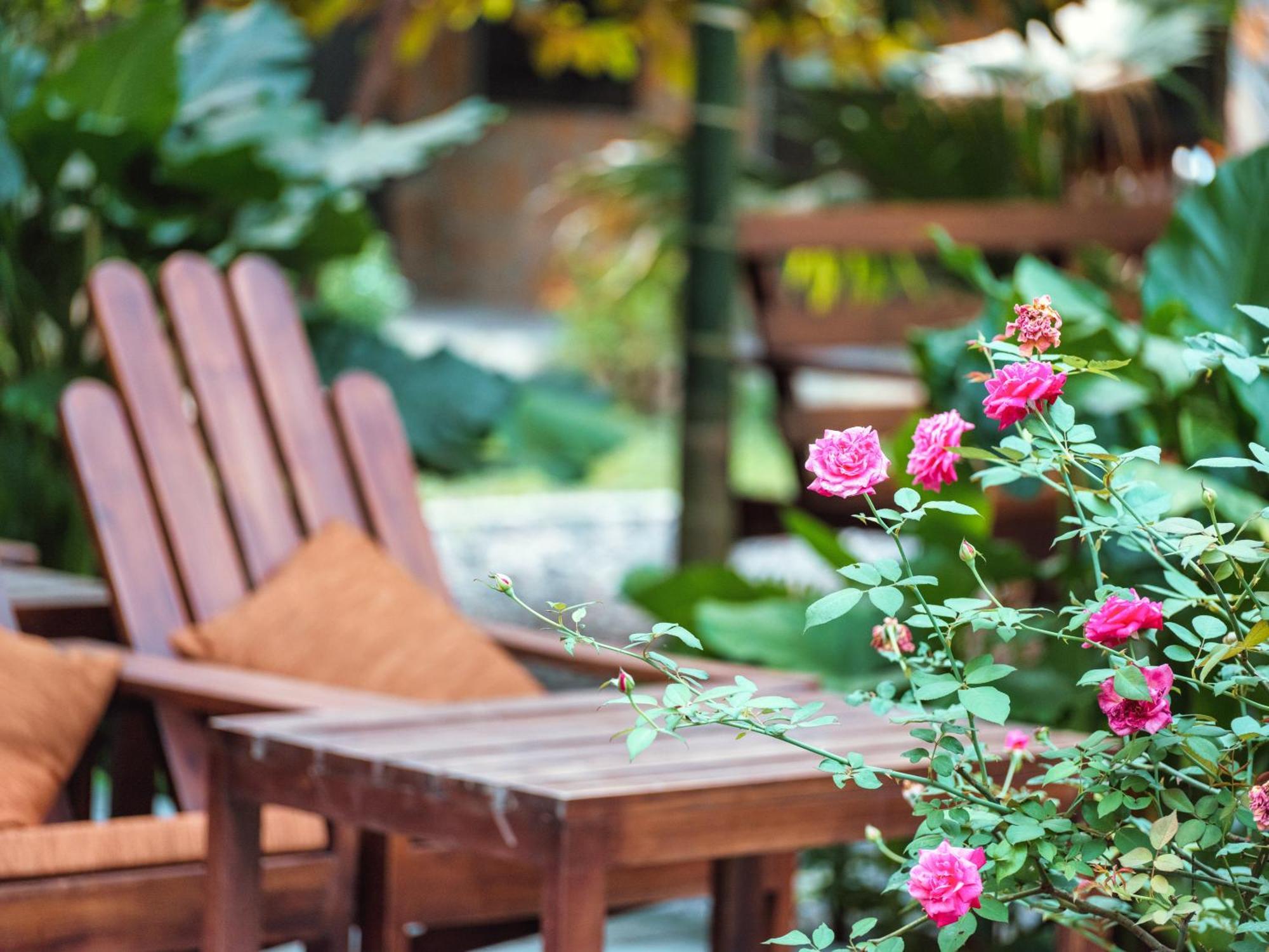 Cozy Beer Garden Homestay Ninh Binh Zewnętrze zdjęcie